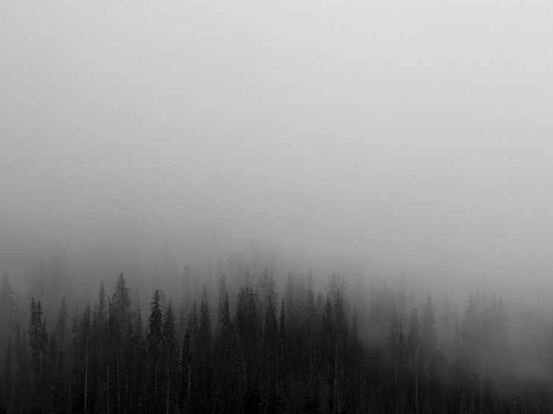 Santa Ana Heritage Loft - Gallery image