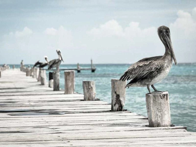 San Rafael Corporate Event Stylists - Gallery image