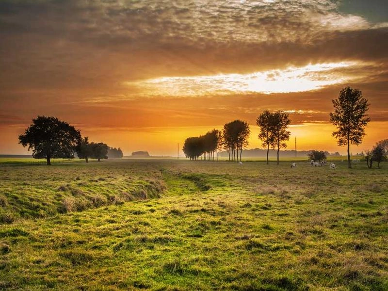 Irvine Spectrum Executive Pavilion - Gallery image