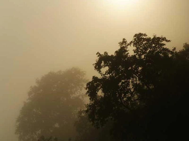 Hayward Corporate Entertainment Collective - Featured image