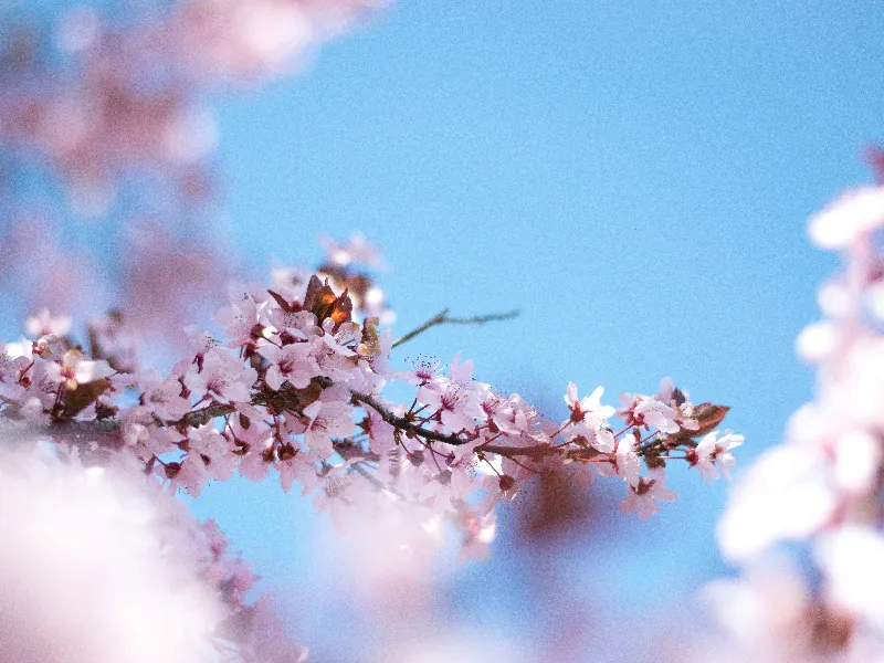 Bar Service - Gallery image