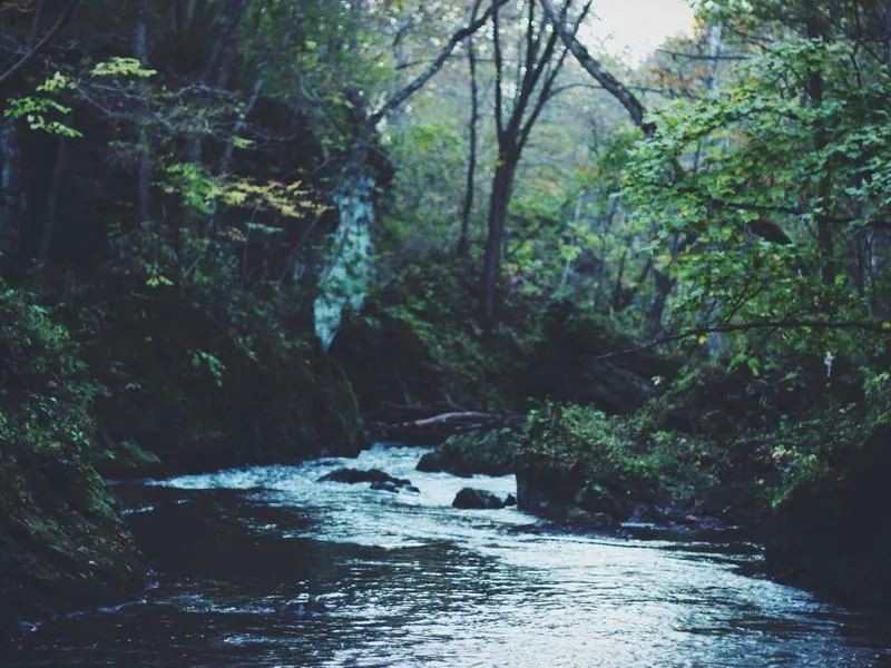 San Leandro Corporate DJ - Gallery image