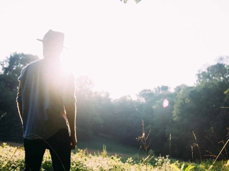 Los Gatos Post-Event Sanitation - Gallery image