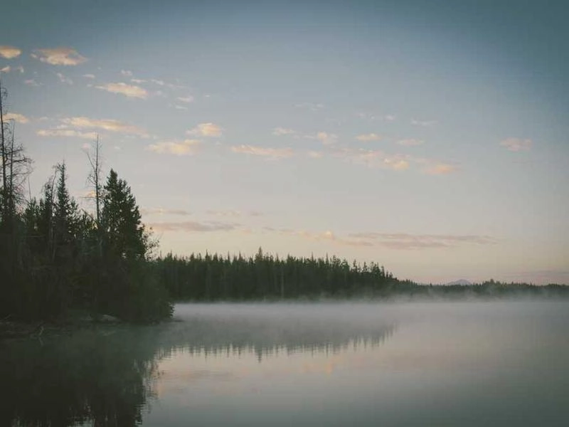 Glendora Post-Event Sanitation Specialists - Featured image