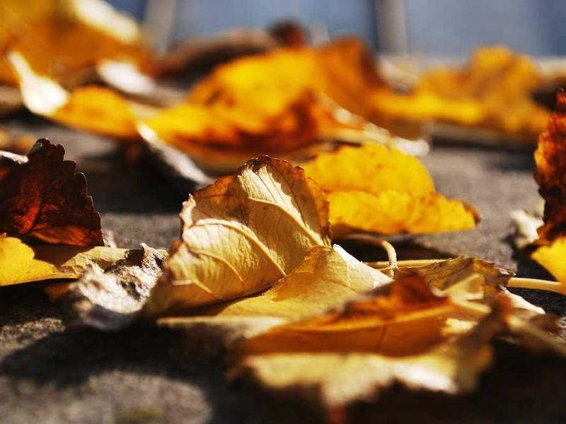 Livermore Vineyard Boardroom - Gallery image