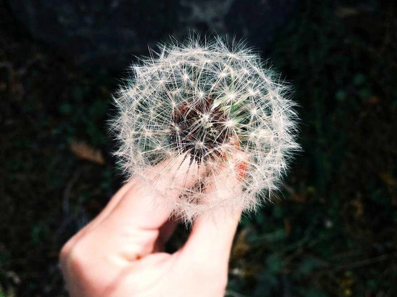 Oakland Waterfront Boardroom & Events - Gallery image