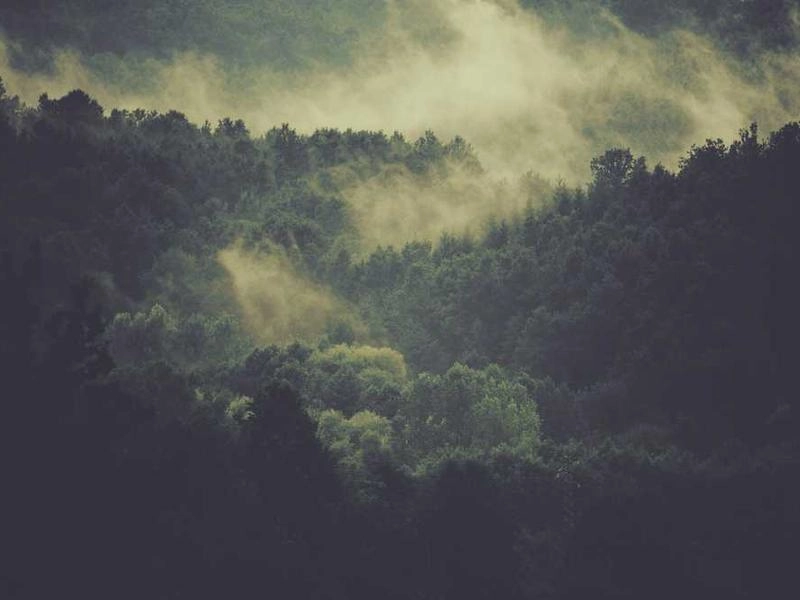 Los Gatos Post-Event Sanitation Specialists - Gallery image