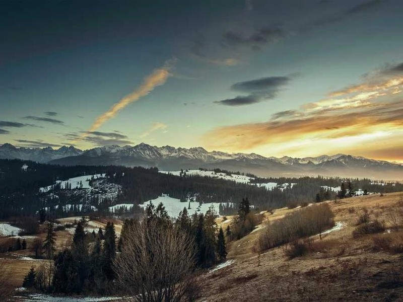 Cerritos Corporate Visuals - Gallery image