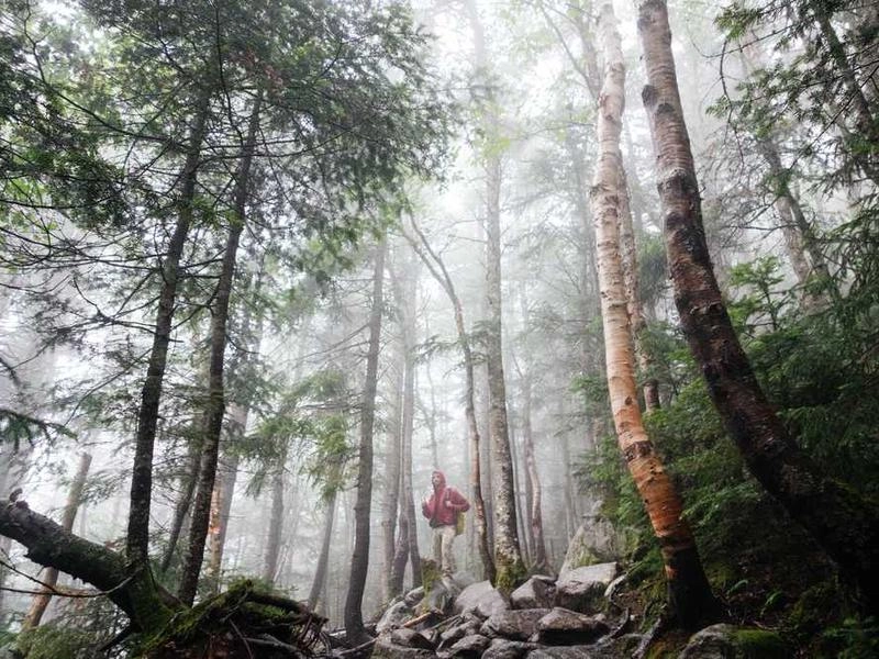 Pleasanton Team-Building Kits & Supplies - Gallery image