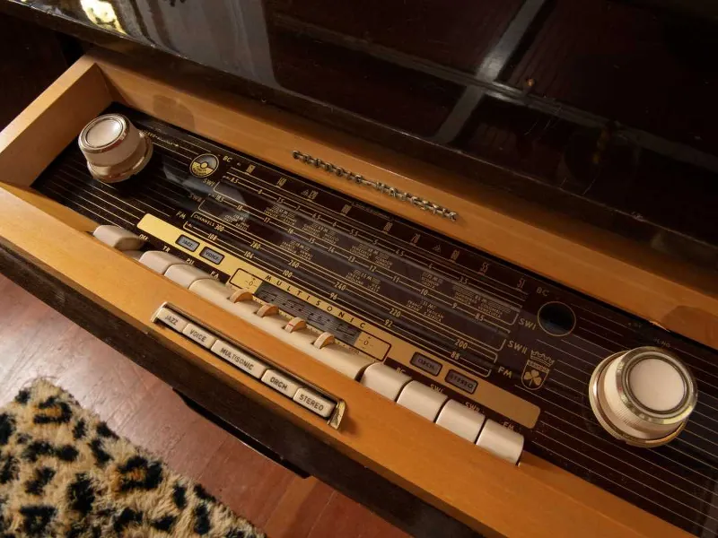 Mid-Century Multipurpose Space for Events in Mission Dolores - Gallery image