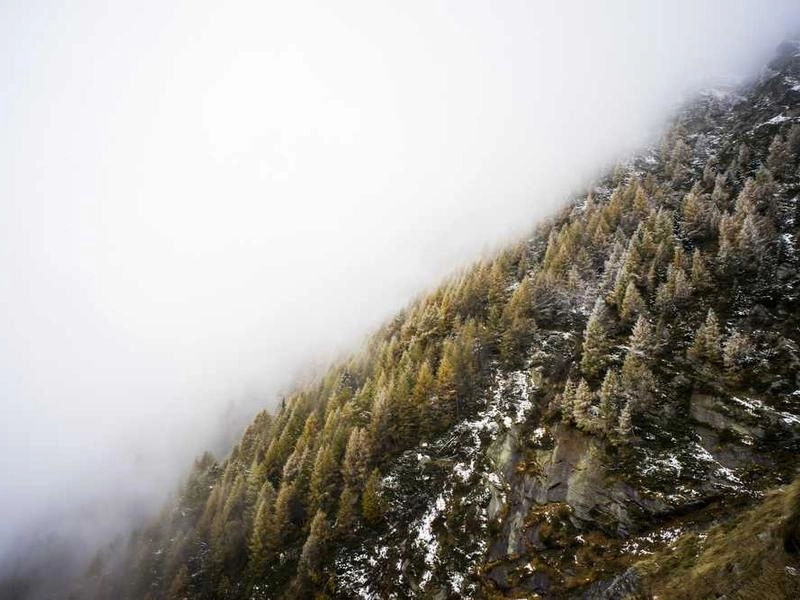 Downey Corporate Visuals - Featured image