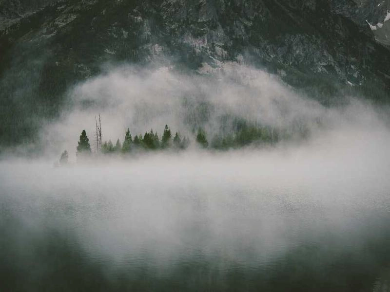 Monrovia Collaborative Arts Studio - Gallery image