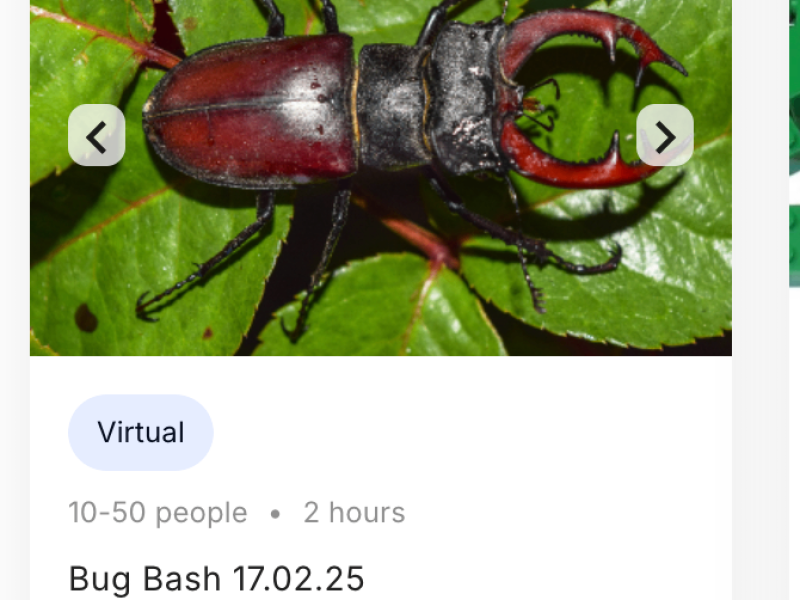 Block out date tesing - Gallery image