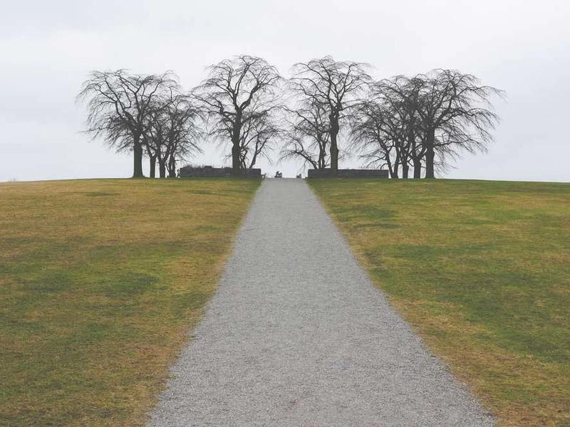 Hayward Boardroom Bites - Featured image