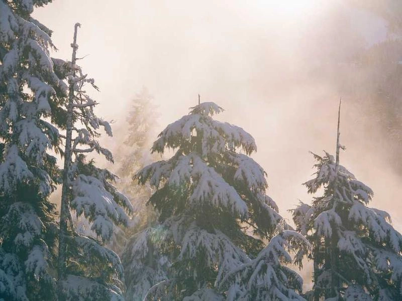 Pleasanton Corporate Visuals Studio - Gallery image