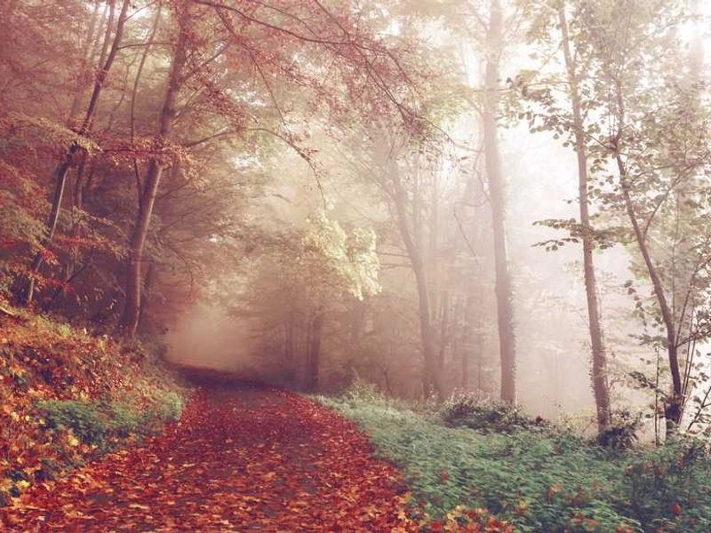 Hayward Corporate Entertainment Collective - Gallery image