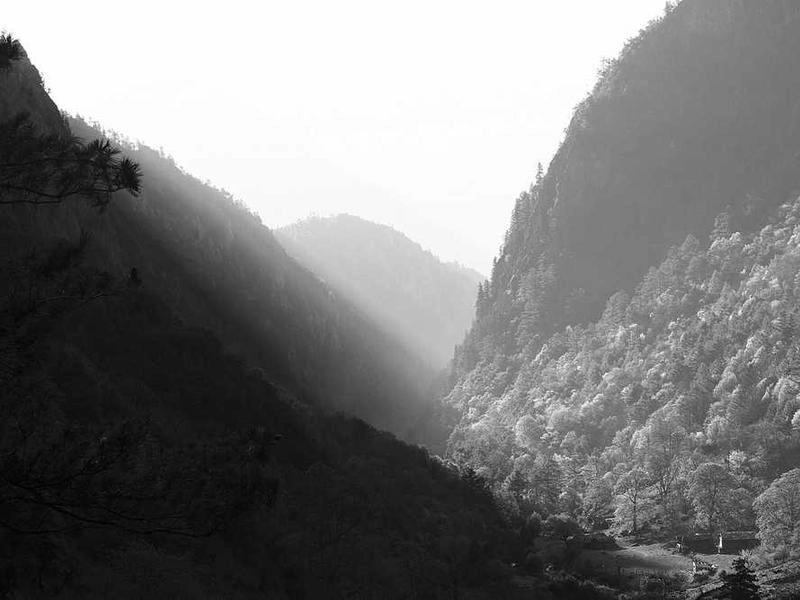 The Decor Studio - Featured image