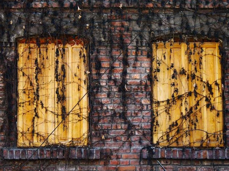 La Verne Post-Event Sanitation Specialists - Gallery image