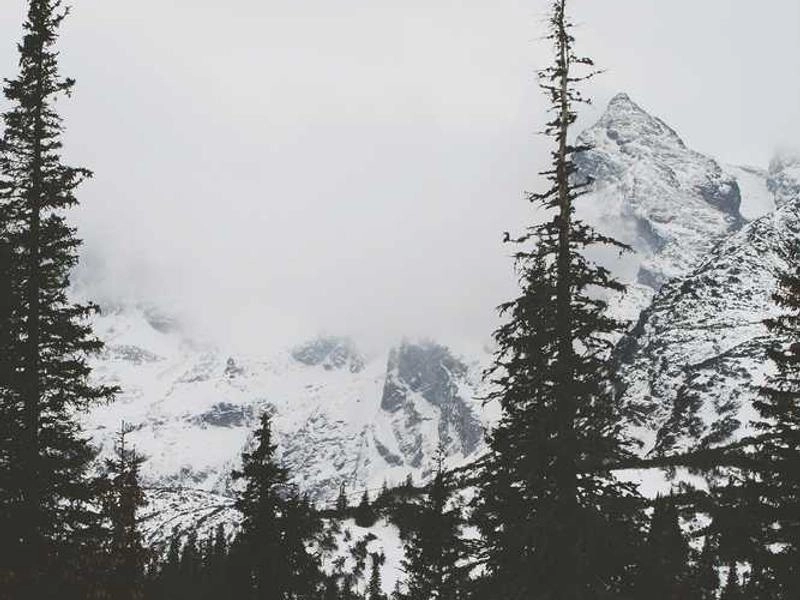 Laguna Niguel Premier Event Staffing - Gallery image