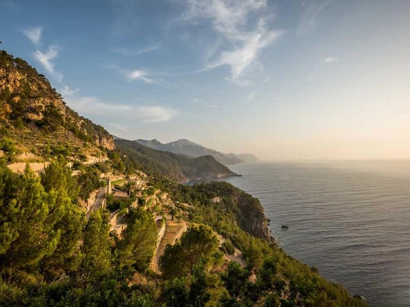 Carmel-by-the-Sea Corporate Entertainment Ensemble - Gallery image