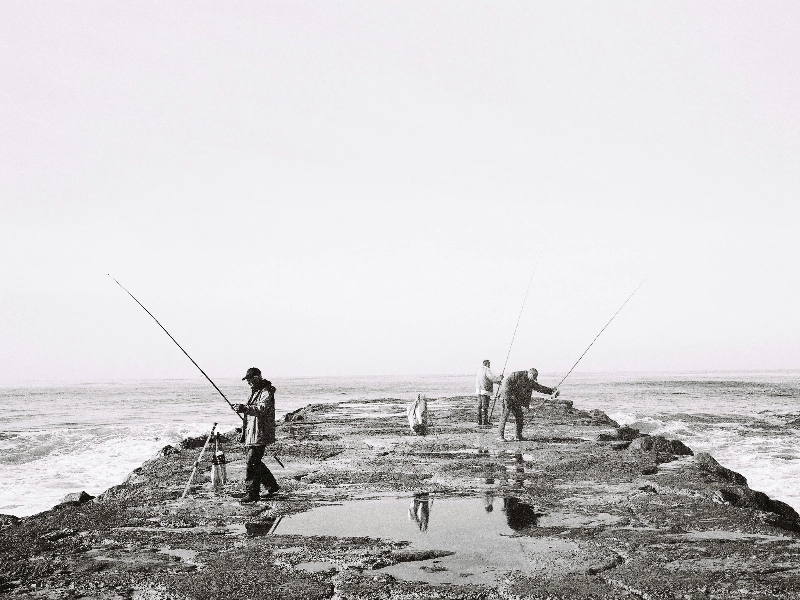 Carolina Entertaining - Gallery image