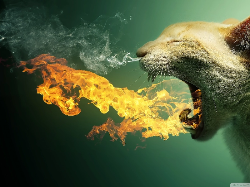 Venue Single Service - Gallery image