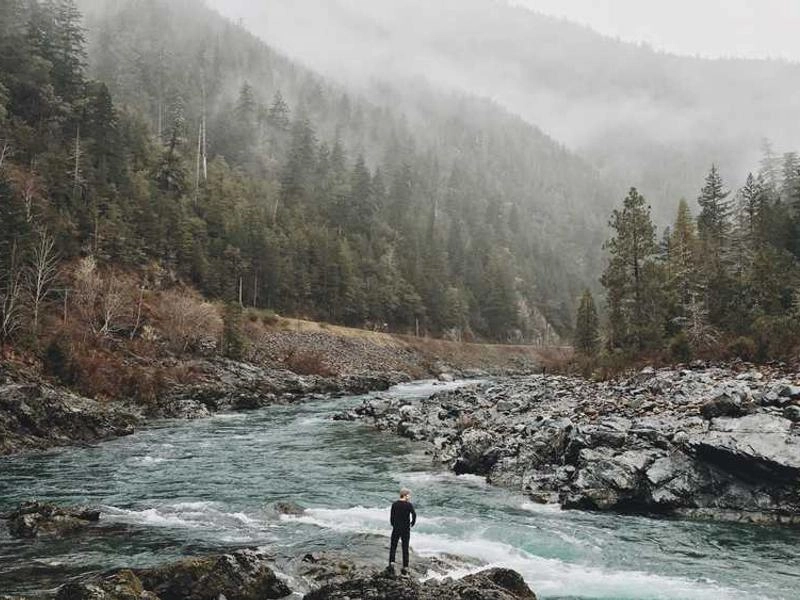 South San Francisco Bayside Bites Catering - Gallery image