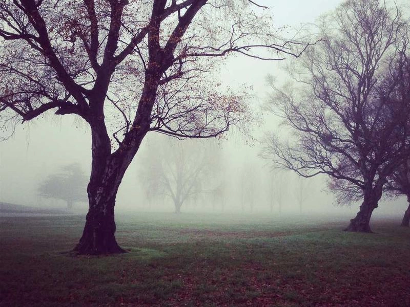 Hayward Corporate Entertainment Collective - Gallery image