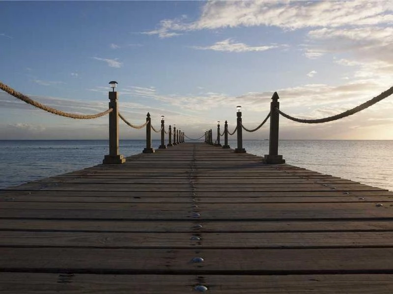 Berkeley Tech Support Pros - Gallery image