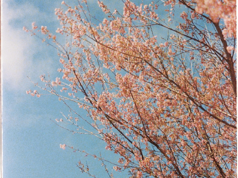 🚀 The Best Package in the World!! !! - Gallery image