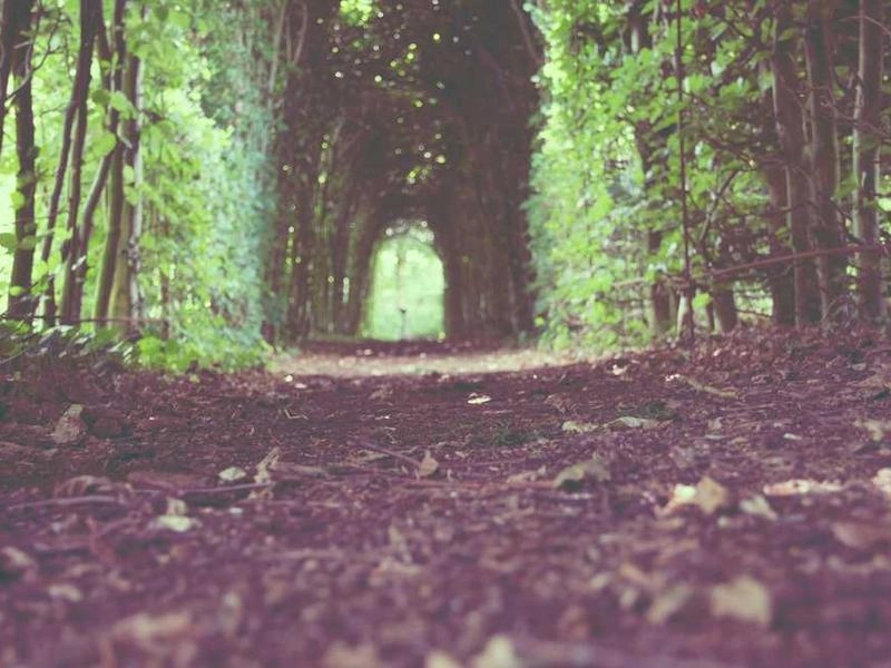 Milpitas Precision Language Solutions - Gallery image