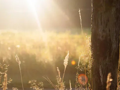 Walnut Creek Corporate DJ DJs - Featured