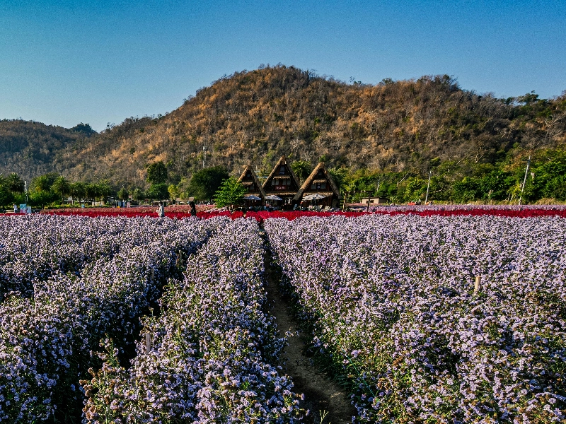 Foody Party no duration - Gallery image