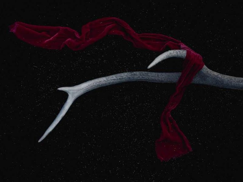 Menlo Park Precision AV Support - Gallery image