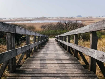 San Francisco Virtual Team Odyssey Experiences - Featured