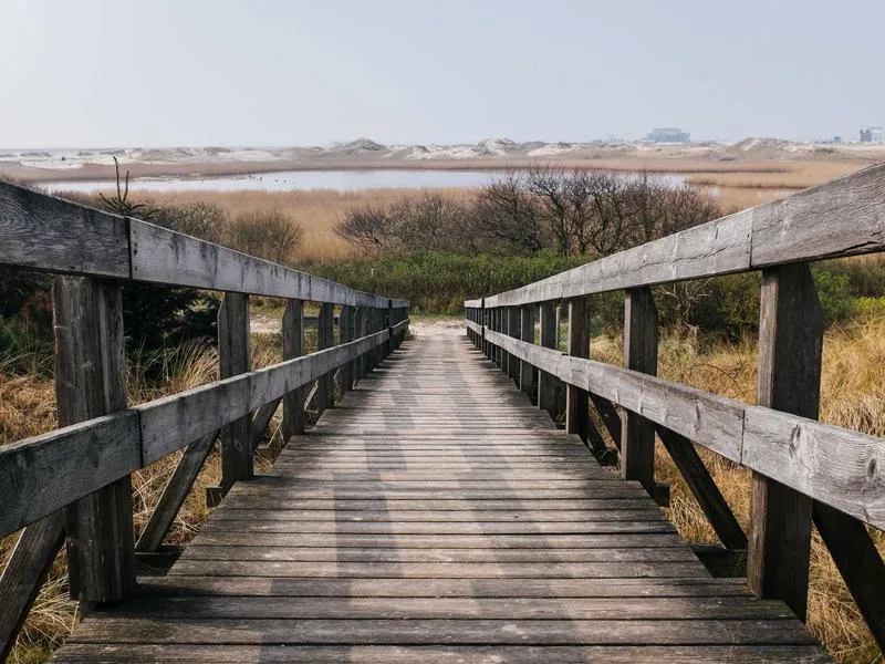 San Francisco Virtual Team Odyssey - Featured image