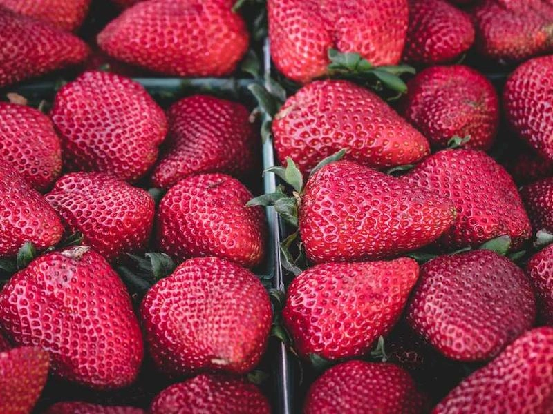 Chino Corporate Kits & Supplies - Gallery image