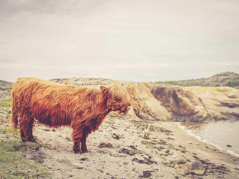 Santa Clara Synergy Adventures - Gallery image